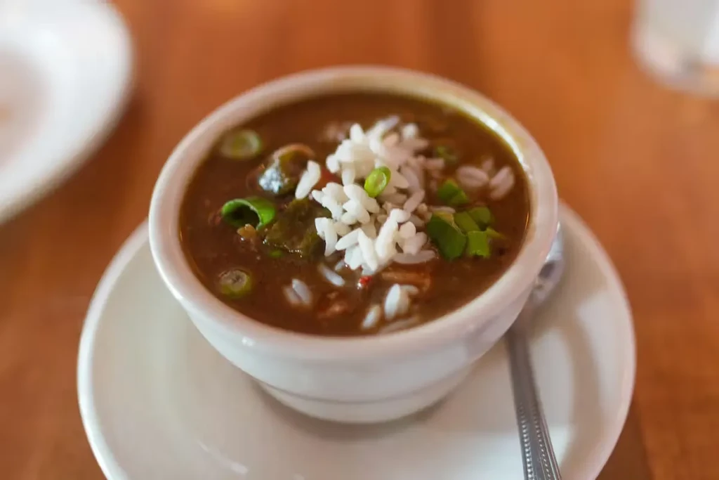 White bowl of dark brown stew, rice, and green onions.
