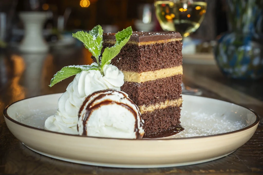 Slice of multi-layered chocolate cake, whipped cream with mint, vanilla ice cream.