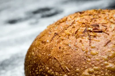 Golden-brown bread crust with salt flakes and shredded dark toppings.