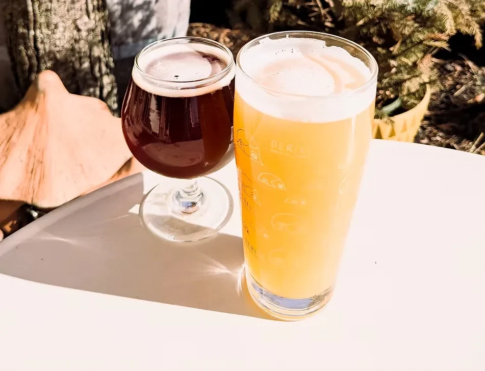 Two craft beers, dark and hazy, on a sunny outdoor table.