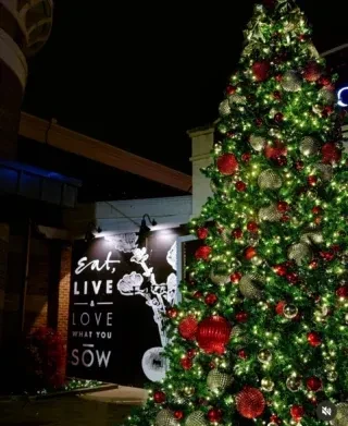 Decorated Christmas tree and illuminated restaurant sign at night.