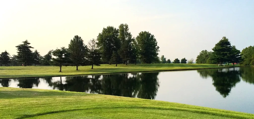 Calm pond reflects trees and bright sky in a green landscape.