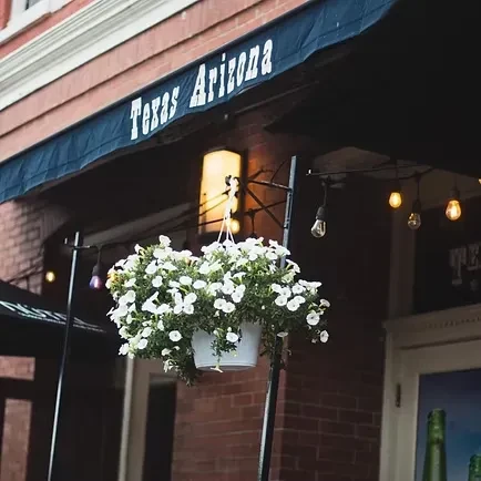 A hanging basket of white petunias outside "Texas Arizona" restaurant.