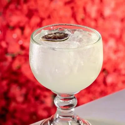 A glass of pale cocktail with ice and a dried lime slice.