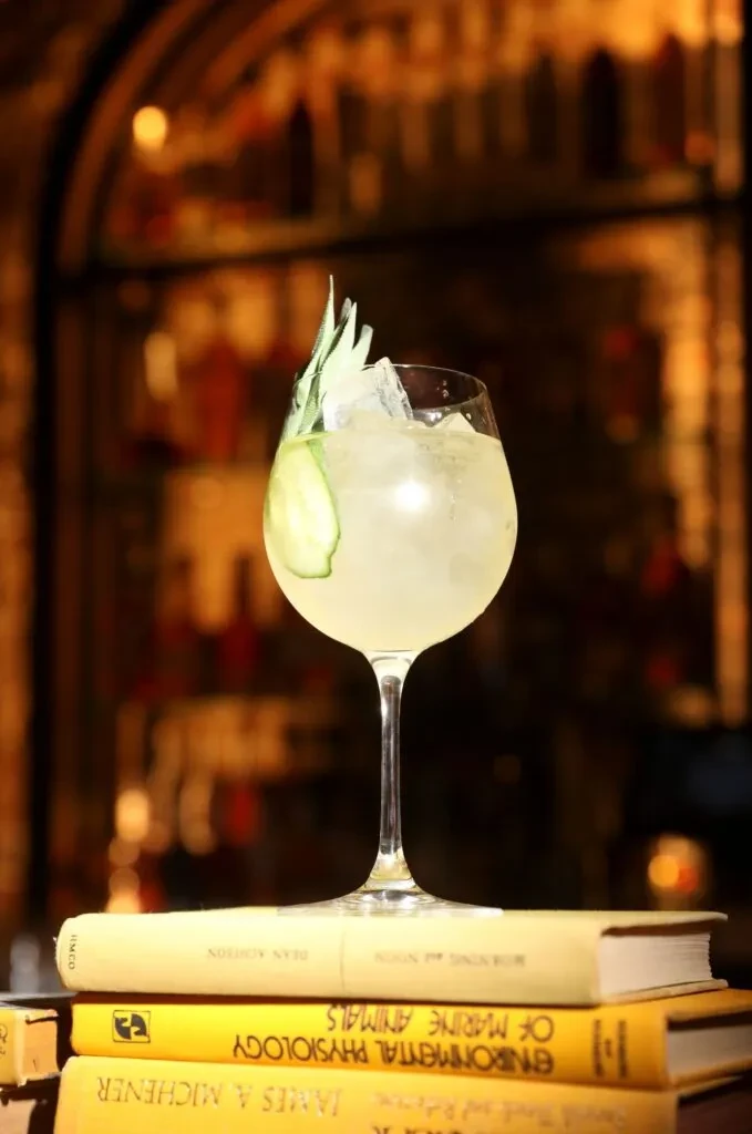 Cucumber-garnished cocktail in a stemmed glass on a stack of books.