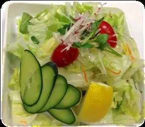 A side salad with lettuce, cucumber, tomato, radish, and lemon.