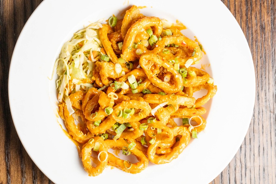 A white bowl filled with calamari, sauce, cabbage, and scallions.