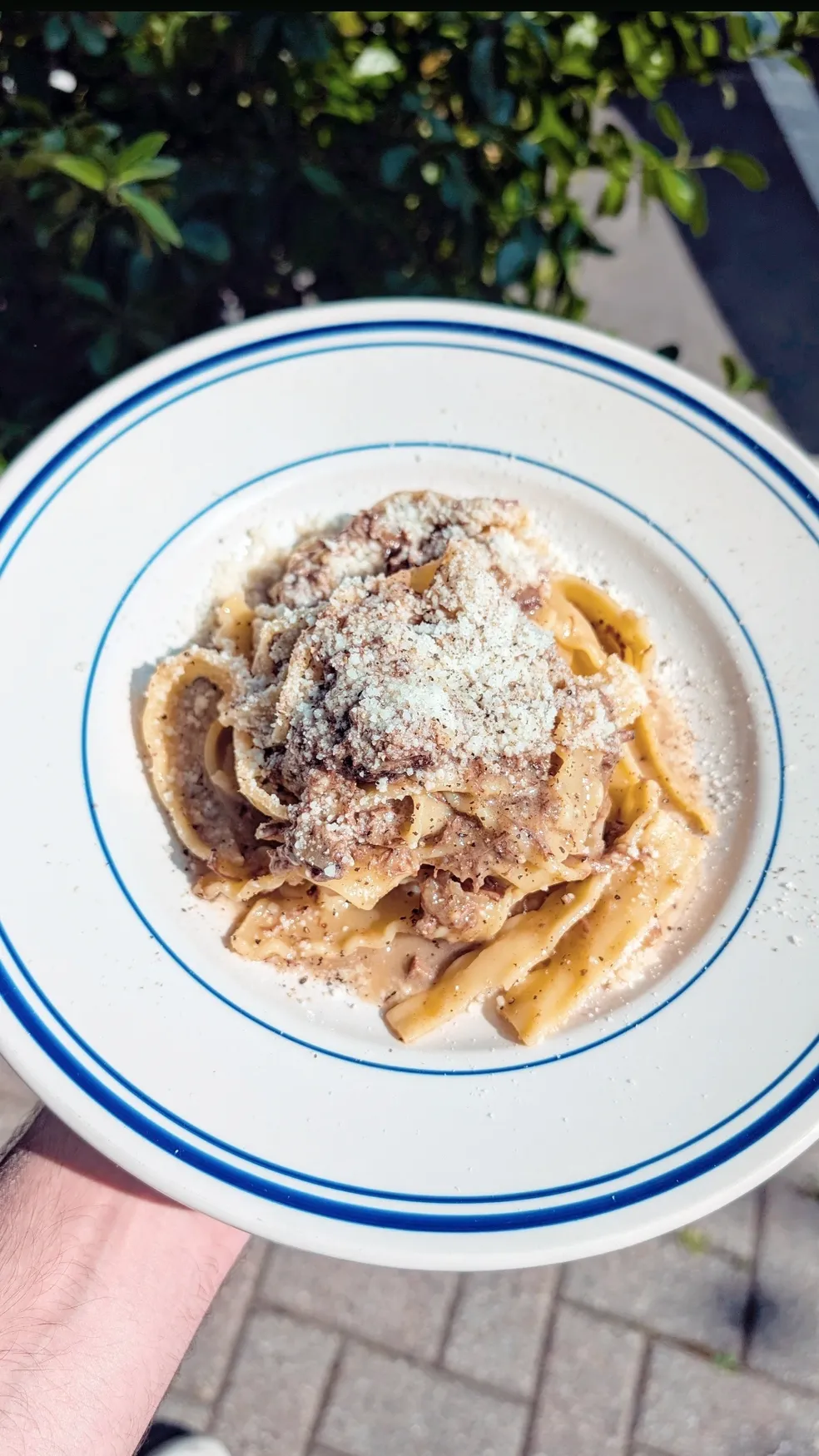 A hand holds a plate of pasta with meat sauce and grated cheese.