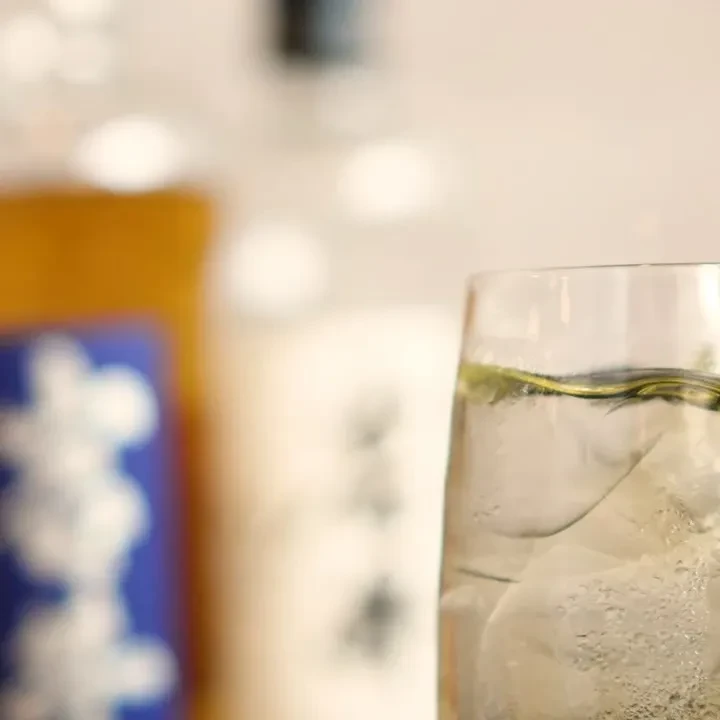 A glass of water with ice cubes, blurred background.