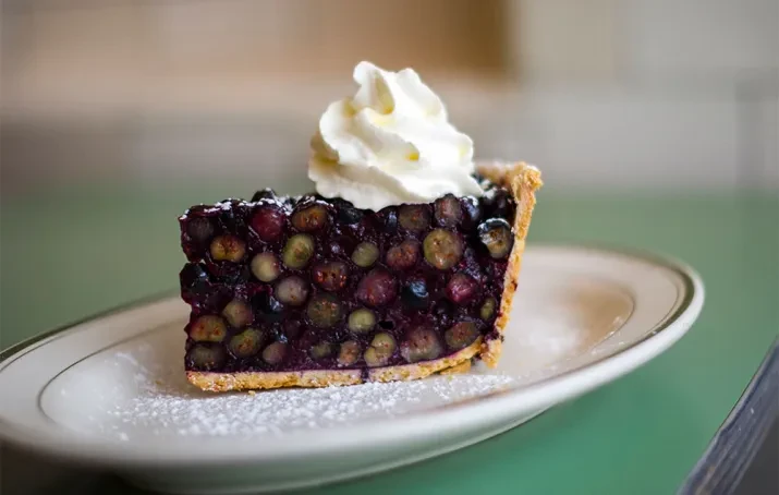 A slice of blueberry pie with whipped cream on a white plate.