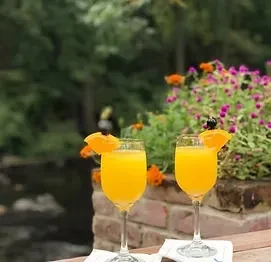 Two mimosa cocktails with orange slices and cherries in a garden setting.