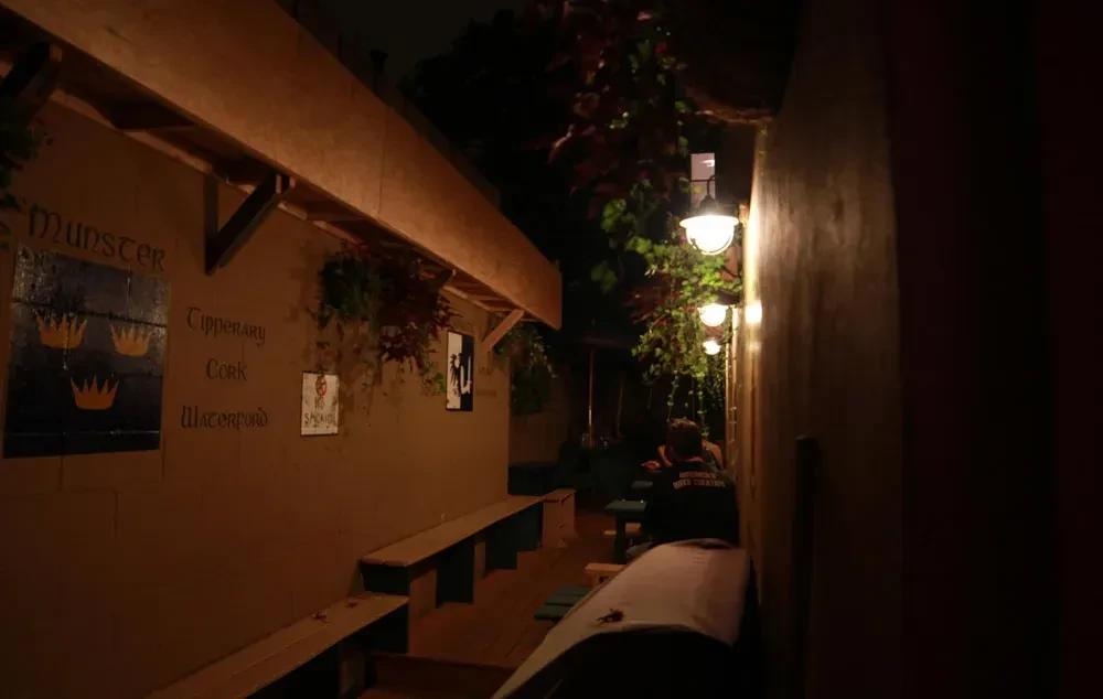 An outdoor patio at night with benches, plants, and string lights.