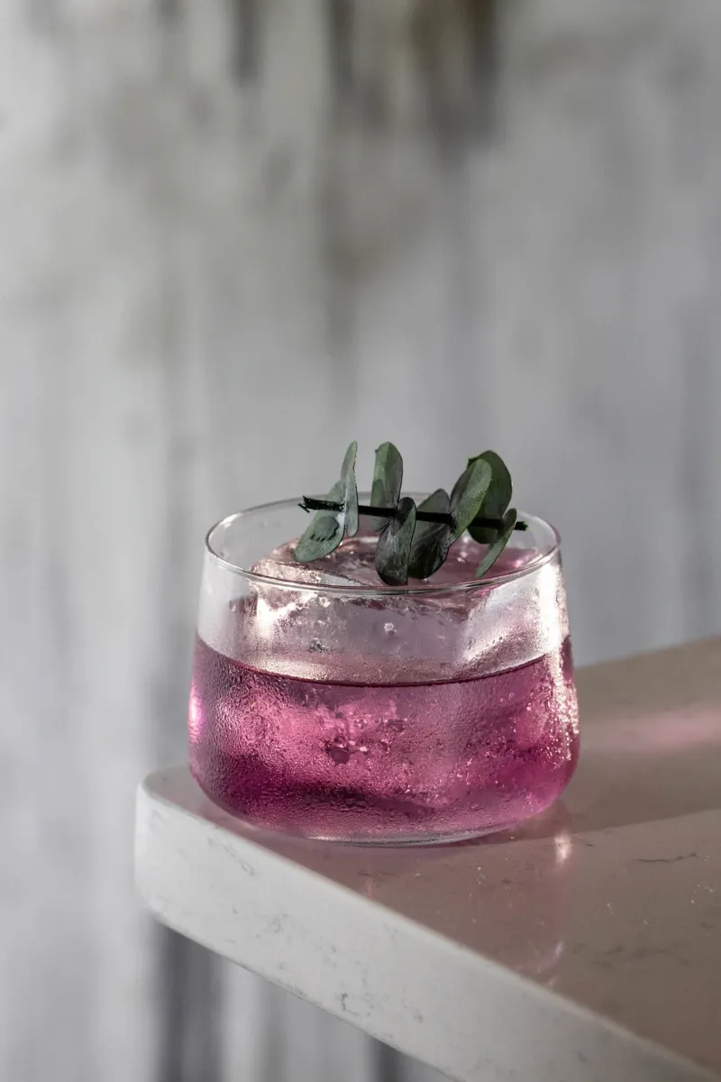 A dewy glass of purple drink with ice and green leaves.
