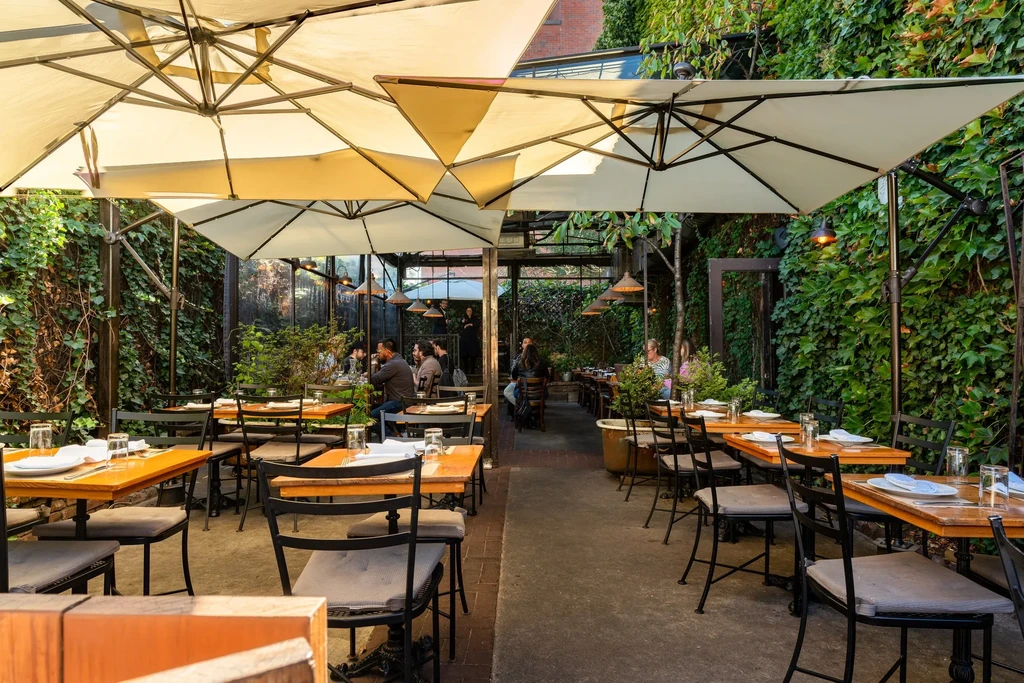 Patrons dine on an ivy-covered outdoor restaurant patio under umbrellas.