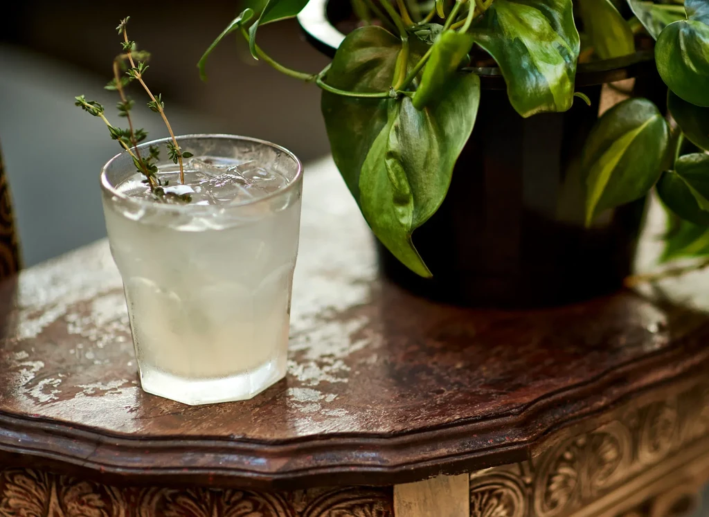 A drink with ice and thyme beside a potted plant on a wooden table.