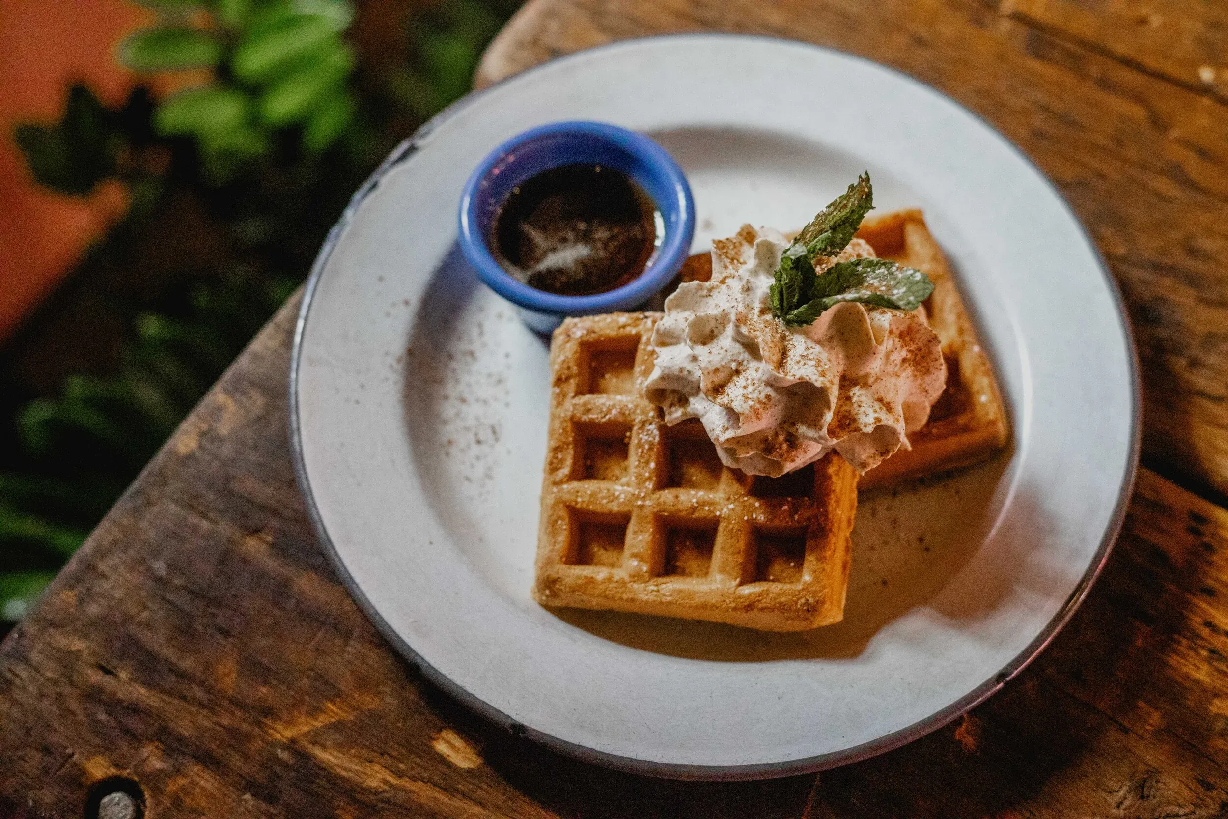 Two waffles with whipped cream, mint, cinnamon, and a syrup cup.