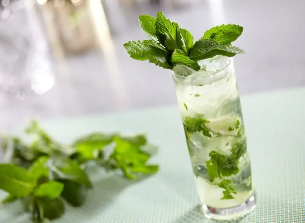 Tall glass of mint cocktail with ice, lime, and fresh mint.