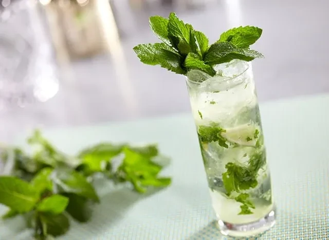A clear glass of mint beverage with ice, muddled mint, and garnish.