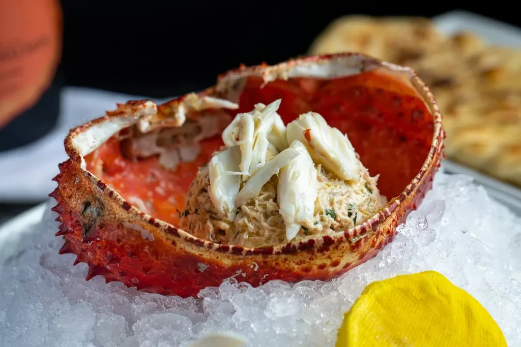 Red crab shell filled with crab meat, on ice with a lemon.