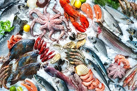 Various fresh fish, lobster, octopus, shrimp, and shellfish displayed on ice.