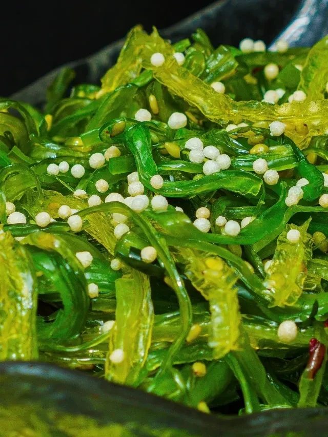 Glossy green seaweed salad with white pearls and yellowish seeds.