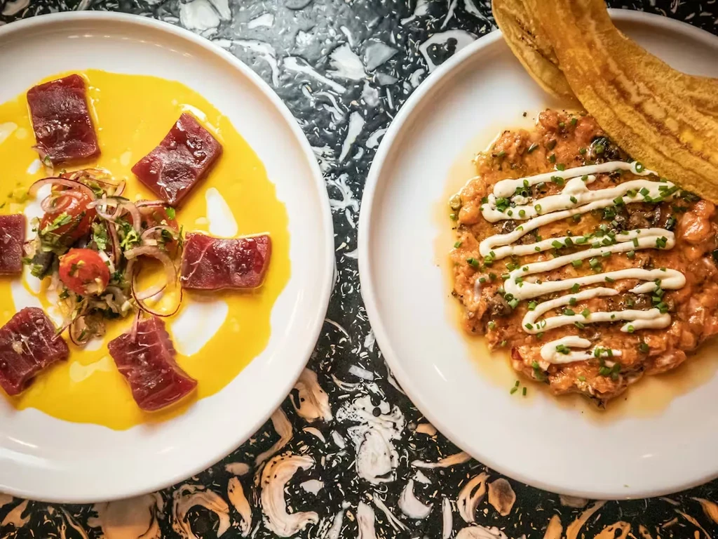 Two elegant plates of sliced tuna and salmon tartare.