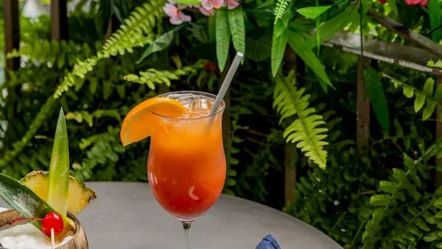 Layered cocktail and coconut drink on table amidst tropical foliage.