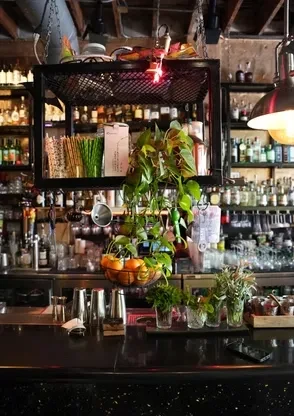 Well-stocked bar counter featuring fresh garnishes, hanging plants, and many spirit bottles.