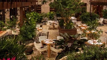 Expansive outdoor dining area with lush plants, tables, and string lights.