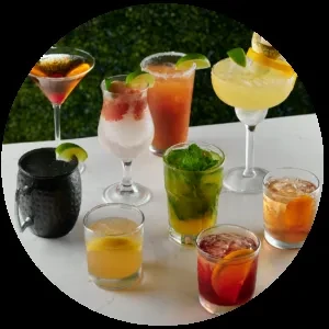 Collection of eight colorful garnished cocktails with green foliage background.
