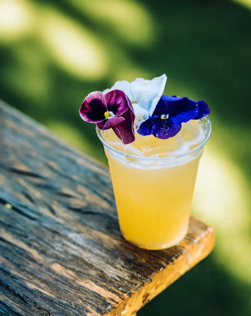 Yellow-orange drink with ice and three pansy-like flowers on rim.