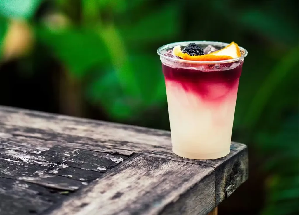 Layered berry drink with blackberry and orange on rustic wood.