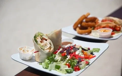Sharply focused chicken wrap, salad, and coleslaw, with blurred fried food.