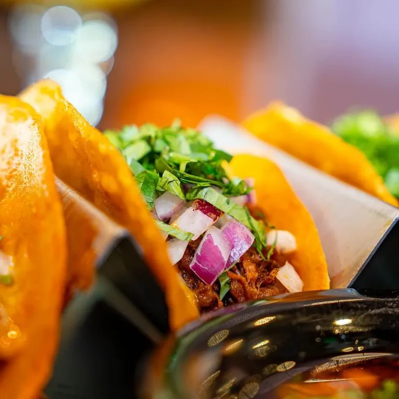 Close-up of tacos with shredded meat, cilantro, and onions in a holder.