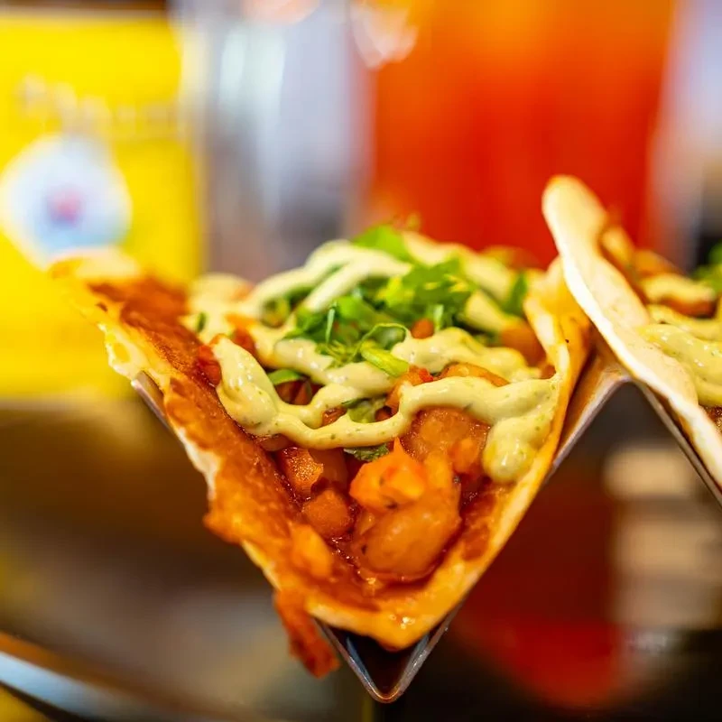 Two tacos with reddish filling, green sauce, herbs, in metal holder.