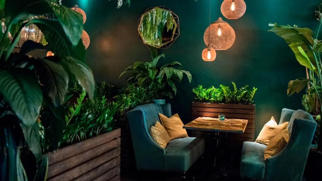 Lush interior features teal chairs, golden pillows, abundant plants, and warm lights.