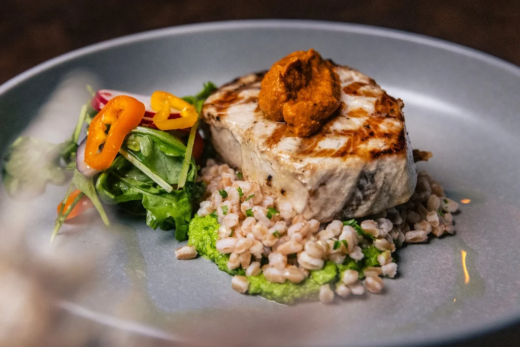 Thick grilled fish with reddish sauce, grains, green puree, and fresh salad.