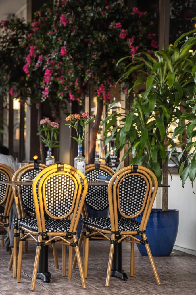 Outdoor restaurant patio with bistro chairs and pink bougainvillea.