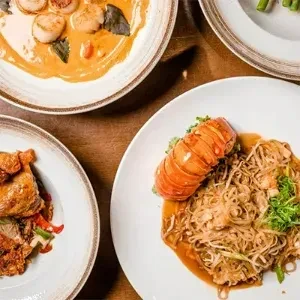 Overhead view of plated scallops, crispy poultry, and lobster tail dishes.