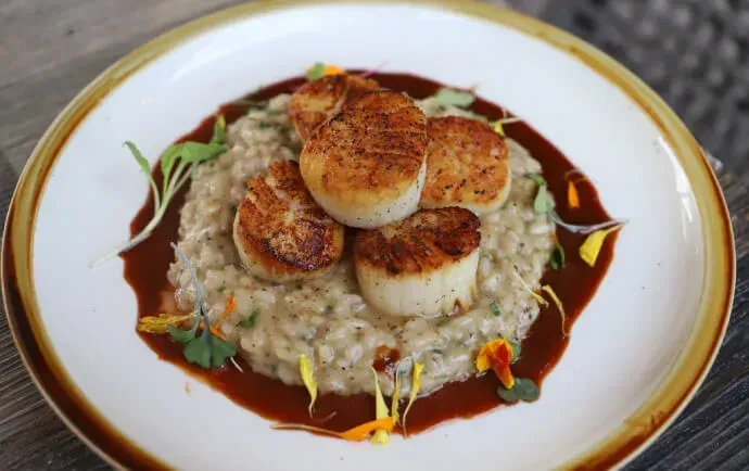 Five seared scallops on creamy risotto with red sauce and garnishes.