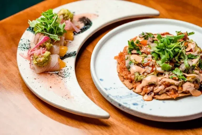 Two plated dishes: fish rolls with avocado salsa and tuna tartare.