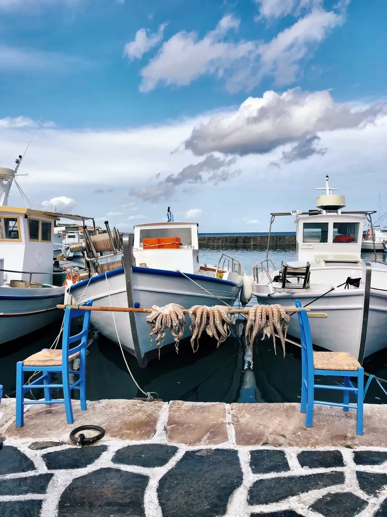 Octopuses drying on a pole on a sunny pier with fishing boats.