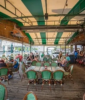 Waterside restaurant patio with patrons, striped awning, and mounted shark.