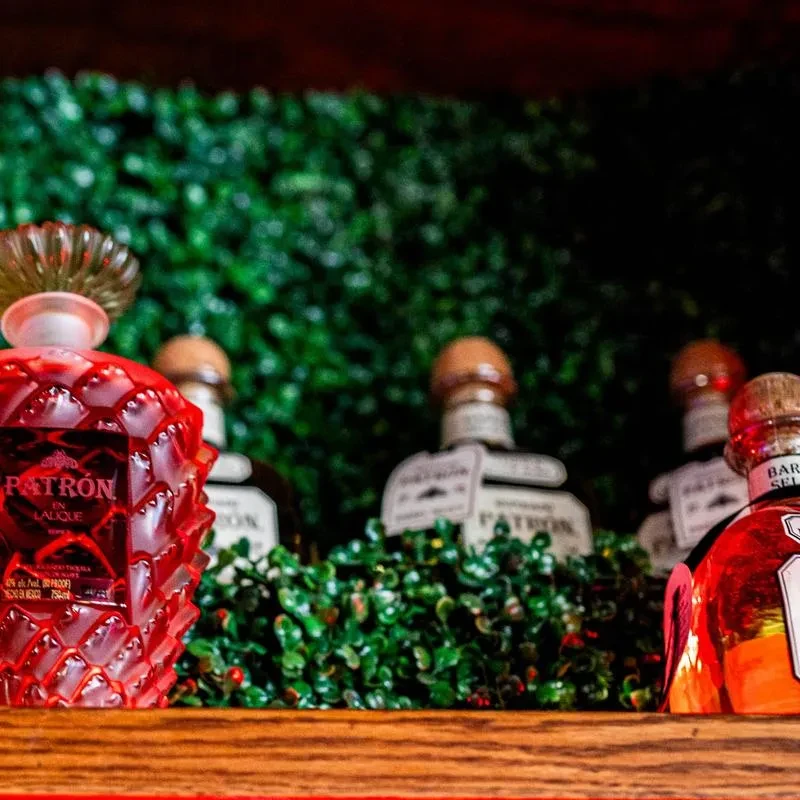 Red Patrón En Lalique tequila bottle against a green foliage wall.