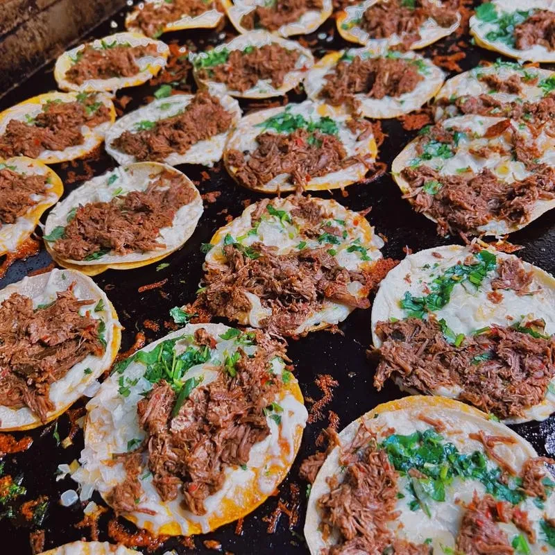 Close-up of many small tacos with shredded beef, cheese, and cilantro.