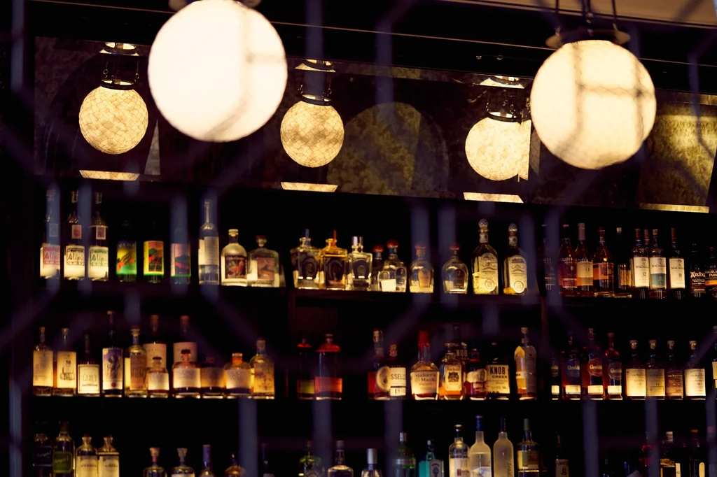 The European Bar & Lounge