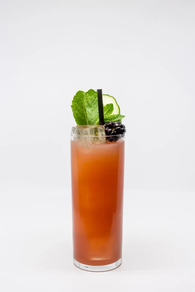 A reddish-orange cocktail with mint, a cucumber slice, and a blackberry.