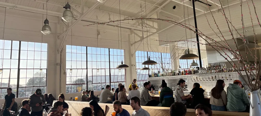 People sit at long tables in a white, sunlit room with large windows.