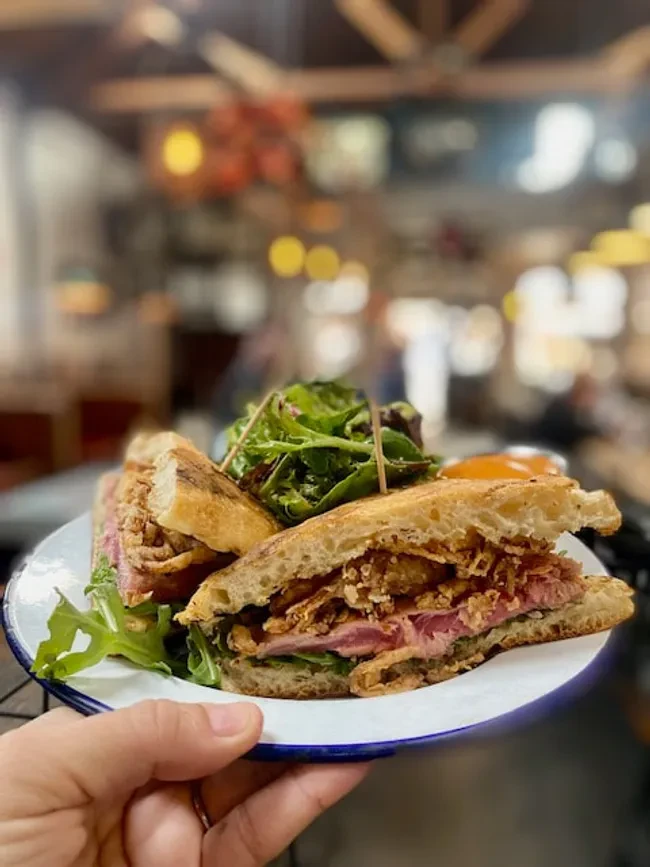 Hand holding plate with a sandwich, green salad, and sauce.