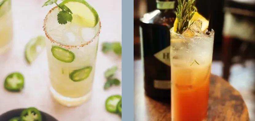 Two long drinks: one with jalapeños, one with rosemary and lemon.